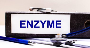 Masaüstünde stetoskop, mavi bir kalem ve ENZYME metninin olduğu gri bir dosya klasörü vardır. Tıbbi konsept