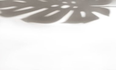 Canavarın kenarında bir gölgeyle aydınlık bir arka plan. Sunumlar için ideal bir arka plan. Boşluğu kopyala