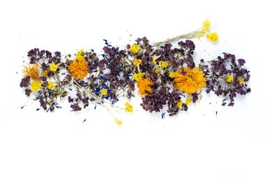 Beyaz arka planda bir demet farklı tıbbi çiçek.