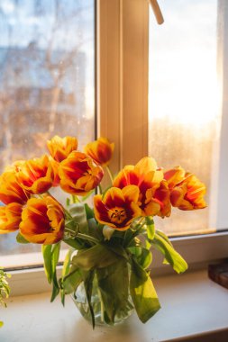 a large bouquet of red-orange tulips on the windowsill in the spring rays