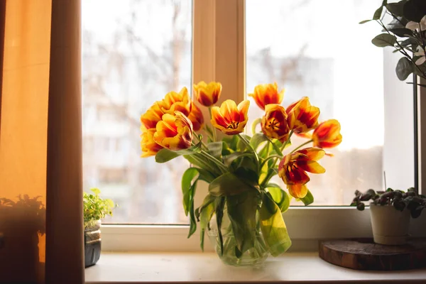 Large Bouquet Red Orange Tulips Windowsill Spring Rays — Photo