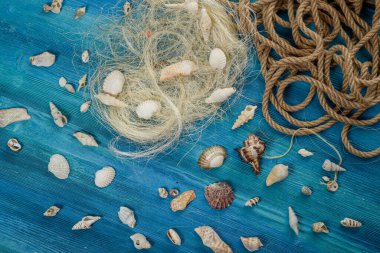 Mavi ahşap zemin üzerinde deniz kabuğu koleksiyonu
