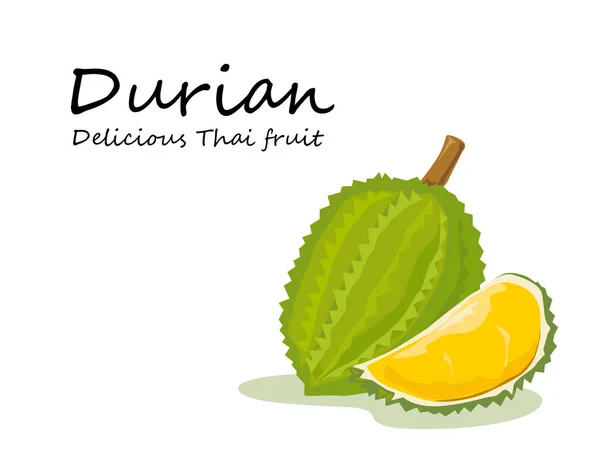 Durian Thai Fruit Vector Art White Background — Vector de stock