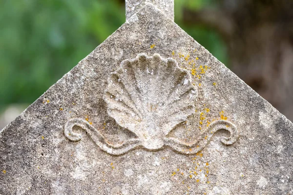 Scallop Shell Symbool 1893 Begraafplaats Santanyi Mallorca Balearen Spanje — Stockfoto