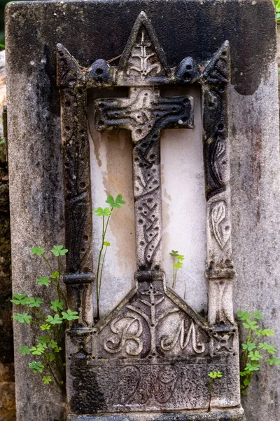 Gato Sobre Una Lápida Cementerio Municipal Génova Mallorca Islas Baleares — Foto de Stock