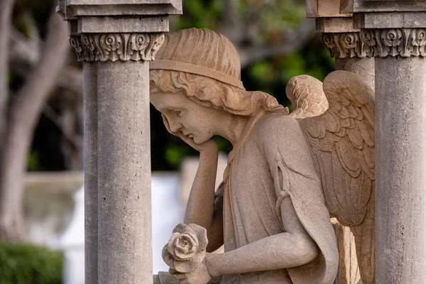 Эдикул Мыслящим Ангелом Память Габриэля Бордоя 1911 Год Кладбище Аларо — стоковое фото