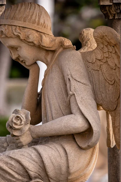 Edicule Com Anjo Pensante Memória Gabriel Bordoy 1911 Cemitério Alaro — Fotografia de Stock