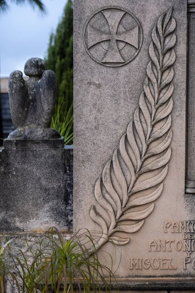 Folha Palmeira Símbolo Vitória Ressurreição Cemitério Ses Salines Maiorca Ilhas — Fotografia de Stock
