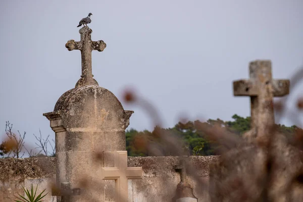 Montuiri Cemitério Maiorca Ilhas Baleares Espanha — Fotografia de Stock