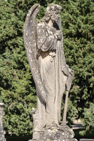 Tejedor Familiengrab Felanitx Friedhof Mallorca Balearen Spanien — Stockfoto