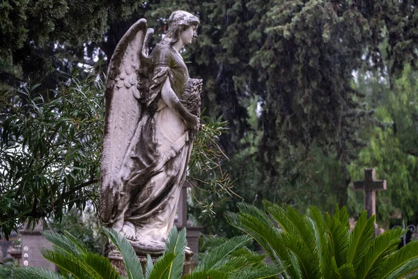 스페인 발레아레스 말로카에 공동묘지 — 스톡 사진