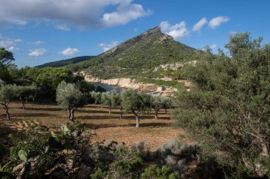 Des Lledo limanı, Dragonera doğal parkı, Mallorca, Balearic Adaları, İspanya