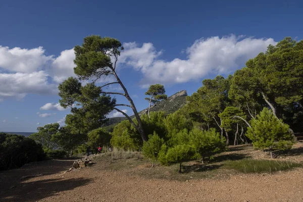 Miranda Recreational Area Dragonera Natural Park Mallorca Balearic Islands Spain — Stock Photo, Image