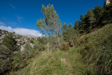 Ses Figueroles, Campanet, Mallorca, Balear Adaları, İspanya 'nın yolundan inen yürüyüşçüler