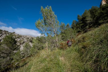 Ses Figueroles, Campanet, Mallorca, Balear Adaları, İspanya 'nın yolundan inen yürüyüşçüler