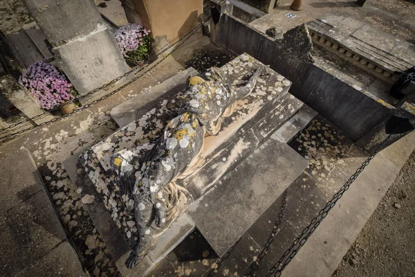 Ραγισμένη Γυναικεία Γλυπτική Tomas Vila Τάφος Της Οικογένειας Garau Son — Φωτογραφία Αρχείου