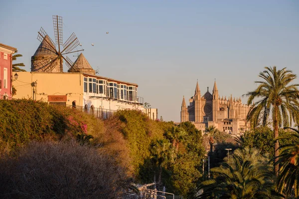 Zabytki Dzielnicy Jonquet Palma Majorka Baleary Hiszpania — Zdjęcie stockowe