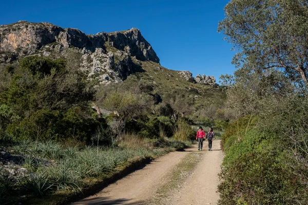Assarell yolu boyunca yürüyen iki yürüyüşçü, Pollensa, Mallorca, Balearic Adaları, İspanya
