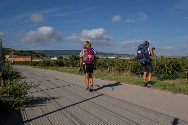 Peregrinos realizando el camino de Santiago, Navarrete, La Rioja, İspanya