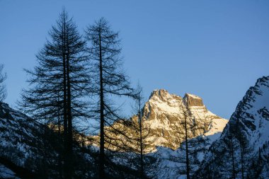 monte Viso, 3841 mts, Valle del Guil,Alpes,parque natural Queyras,Francia-Italia, Europa