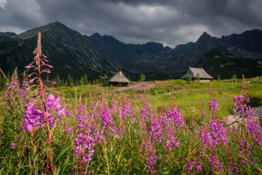 Valle de gasienicowa, parque nacional Tatra, voivodato de la Pequea Polonia, Carpatos, Polonia, Avrupa