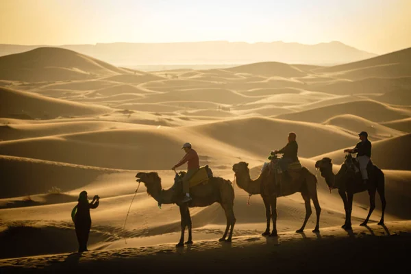 Erg Chebbi Taffilalet Rissani Marruecos Africa — стокове фото