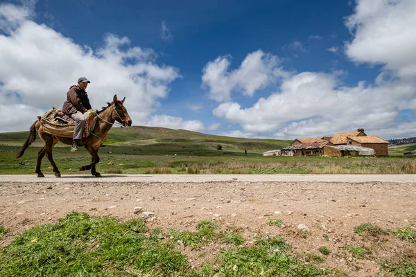 Hombre Lomos Asno Agelman Haoul Parque Nacional Ifran Atlas Medio — Foto de Stock