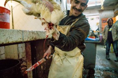 Sacio de pollos, zoco de Marrakech, Marruecos, norte de Africa, continente africano