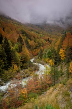 Veral nehrinin yeşil koridoru, batı vadileri, Pyrenean sıradağları, Huesca ili, Aragon, İspanya, Avrupa