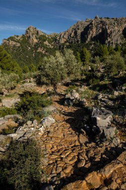 Balitx, Mallorca, Balear Adaları, İspanya