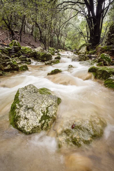 Водотоки Фреу Долина Куанегра Схід Мальорка Балаарні Острови Іспанія — стокове фото