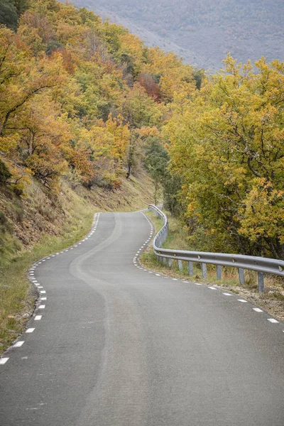 Straße Durch Einen Eichenhain Herbst Las Merindades Burgos Spanien — Stockfoto