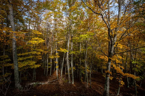 Tejeda Tosande Naturpark Fuentes Carrionas Berg Fuente Cobre Palentina Palencia — Stockfoto