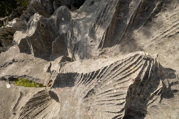 Santuário Geológico Carste Bosc Ses Monges Lluc Escorca Maiorca Ilhas — Fotografia de Stock