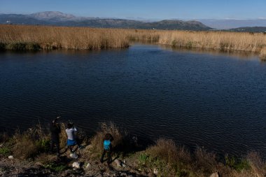 albufera de mallorca, Mallorca, Balearic Adaları, İspanya
