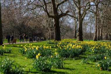 St. James 'Park, Londra, İngiltere, İngiltere