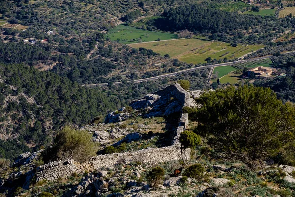 Mallorca Balearen Spanje — Stockfoto