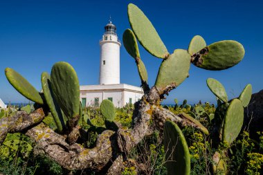 La Mola Deniz Feneri, Formentera, Pitiusas Adaları, Balear Community, İspanya