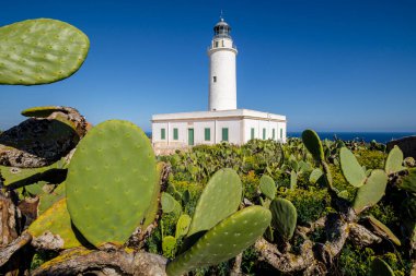 La Mola Deniz Feneri, Formentera, Pitiusas Adaları, Balear Community, İspanya