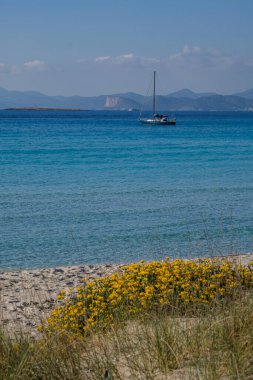 ses Salines d Eivissa i Formentera Doğal Parkı, Formentera, Pitiusas Adaları, Balear Community, İspanya