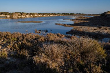 ses Salines d Eivissa i Formentera Doğal Parkı, Formentera, Pitiusas Adaları, Balear Community, İspanya