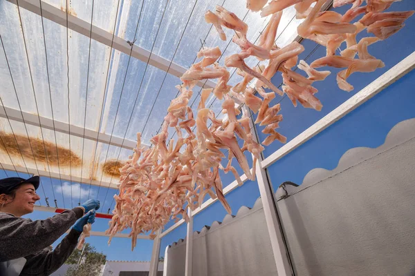 kurutulmuş balık, formentera, Pitiusas Adaları, Balear Community, İspanya