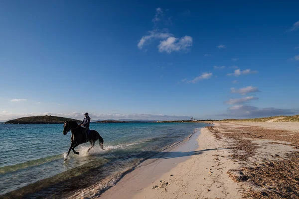 Praia Dos Atletas Equitação Formentera Ilhas Pitiusas Comunidade Baleares Espanha — Fotografia de Stock