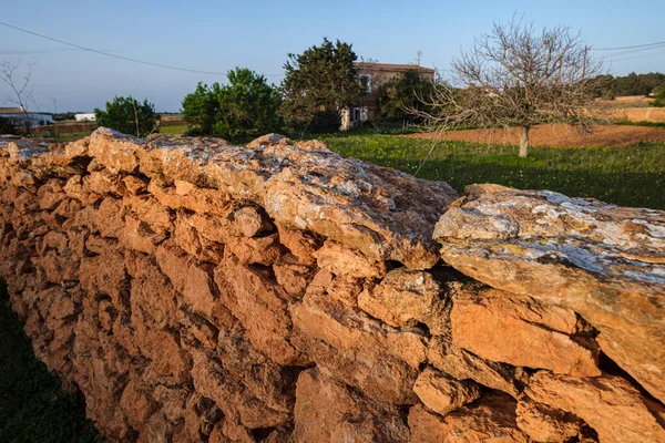Tarım Arazisi Için Geleneksel Taş Duvarlar Ses Creus Yolu Formentera — Stok fotoğraf
