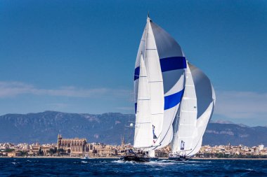 Süperyat Kupası Palma, Bahia de Palma, Mallorca, Balear Adaları, İspanya, Avrupa