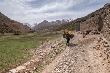 Arka planda Ait Said ve Atlas sıradağları, Fas, Afrika