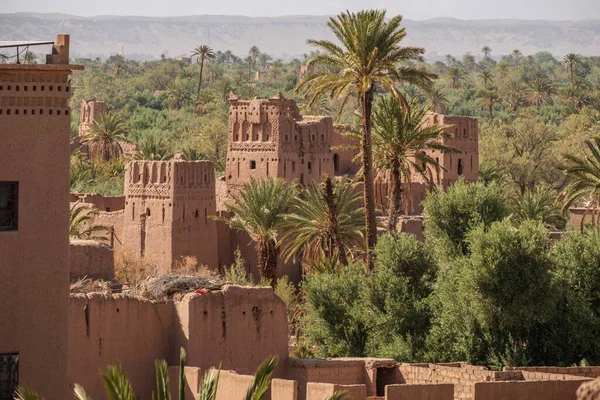 Kasba Amridil Vista Del Palmeral Skoura Provincia Ouarzazate Marruecos África —  Fotos de Stock