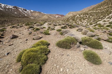 Arous Vadisi 'ne, MGoun Yürüyüşü' ne, Atlas Dağları 'na, Fas' a, Afrika 'ya doğru iniyoruz.