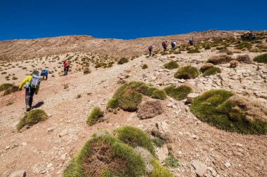 Yürüyüş grubu, Timaratine, MGoun yürüyüşü, Atlas sıradağları, Fas, Afrika