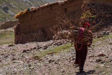 Yakacak odun taşıyan kadın, Azib Ikki, Atlas sıradağları, Fas, Afrika